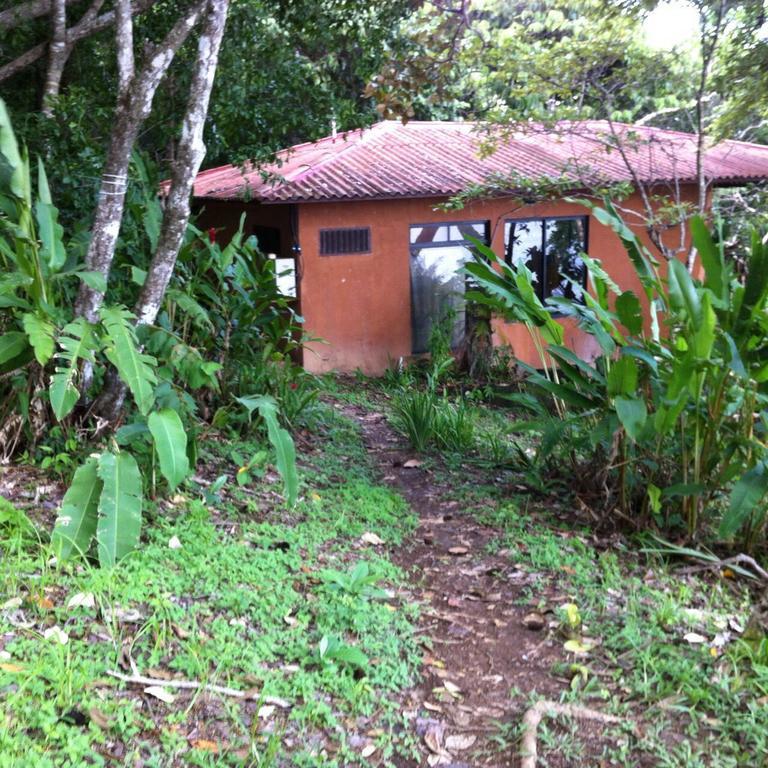 Howlers Bay Hotel Boca Chica Luaran gambar